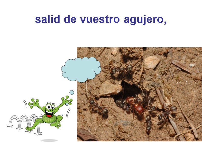 salid de vuestro agujero,